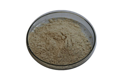 EINECS beige leggero 205-205-0 di purezza dei mediatori 99,03% del naftolo AS-D di Brown